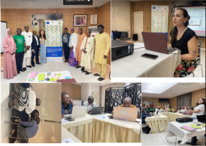 Report of the CITAD – Build Up Ideation Workshop Held September,  2023 at SV Chrome Hotel, Abuja